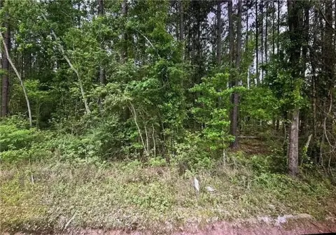 Wooded Lot in Quiet Community