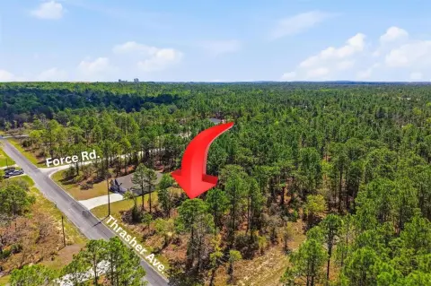 Wooded Homesite in Weeki Wachee