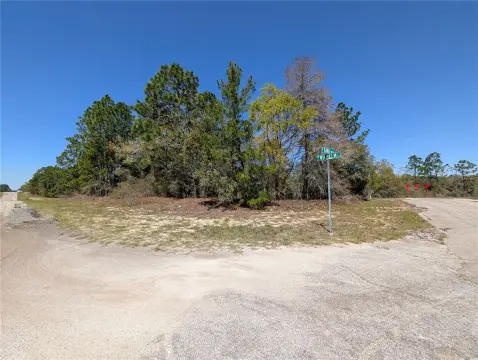 Citrus Springs Vacant Land