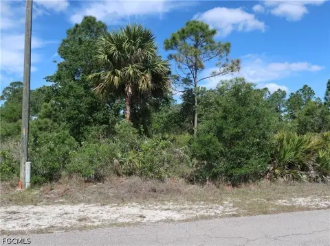 Residential Lot in Lehigh Acres