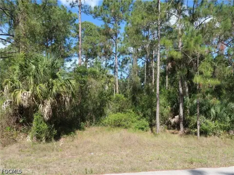 Residential Lot in Lehigh Acres