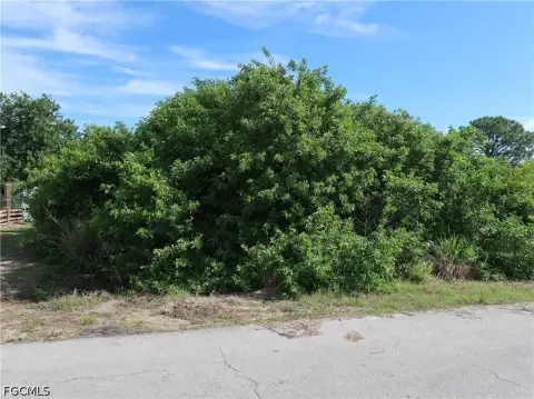 Residential Lot in Lehigh Acres