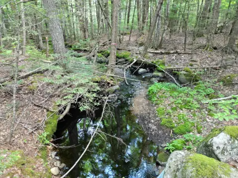 Recreational Hunting Land
