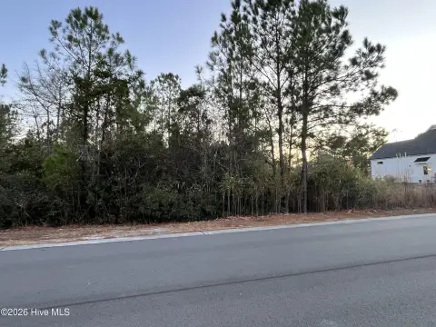 Wooded Lot in Rutledge Community