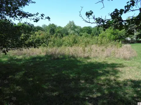 Land For Sale in Cadiz