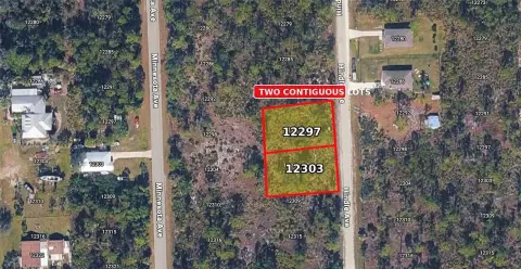 Two Contiguous Homesites in Punta Gorda