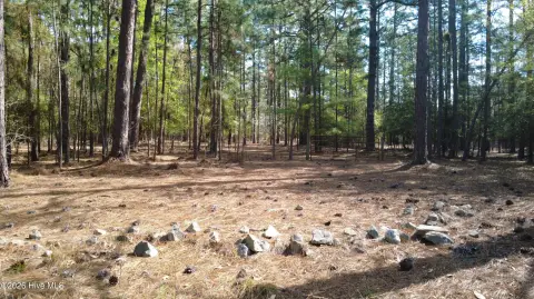Pinehurst Wooded Acres Opportunity
