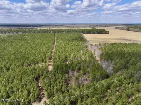 25 Acres of Recreational Land