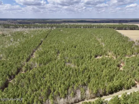 34 Acres of Hunting Land