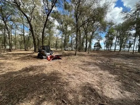 Cleared Land in Florida Highlands