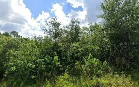 Residential Lot in Port Charlotte