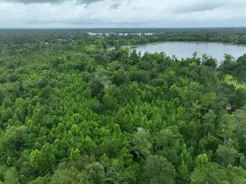Wooded Land Near Lake Seminole