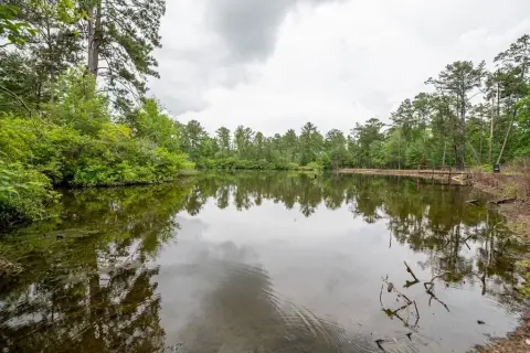 64.5 Acres with Spring Pond