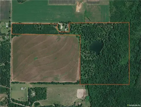 64.5 Acres with Spring Pond