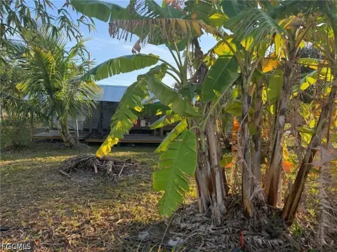 Bamboo Farm with Canal Access