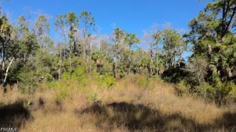 Lehigh Acres Land Opportunity