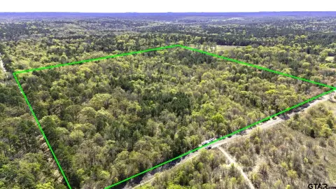 Lush Woodland Acreage in Winnsboro