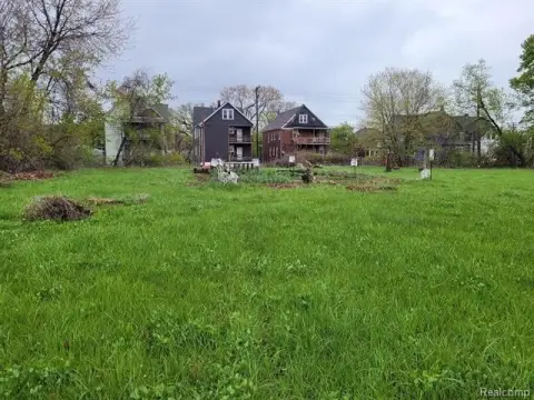 Detroit Vacant Land Opportunity