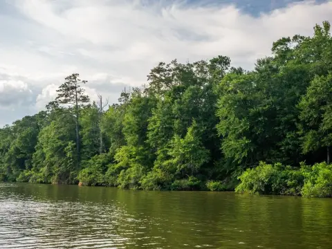 Tombigbee River Waterfront Land