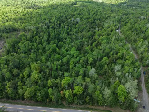 Undeveloped Rural Land