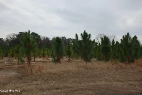 Residential Land in Fairmont, NC