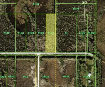 Agricultural Land with Road Frontage