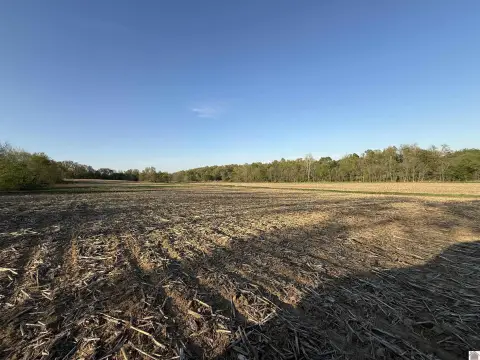 Mayfield, KY Farmland Opportunity