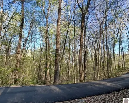 Wooded Lot Near Lake
