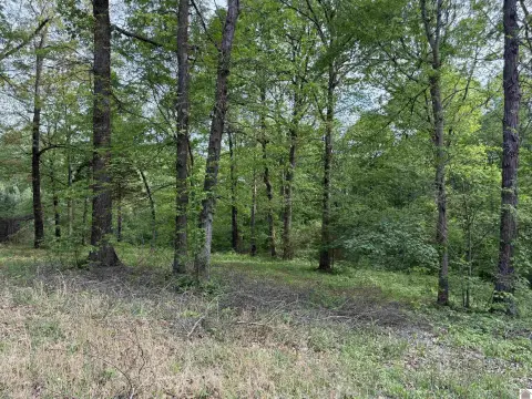 Residential Land in Calvert City