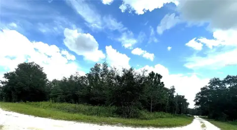 Residential Land in Dunnellon, FL