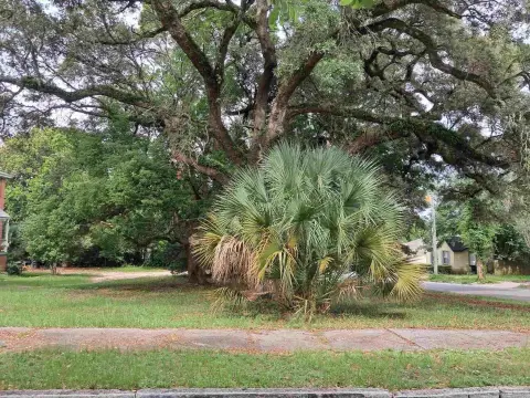 Zoned Mixed-Use Land Parcel