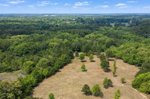 53.99 Acres of Unimproved Land