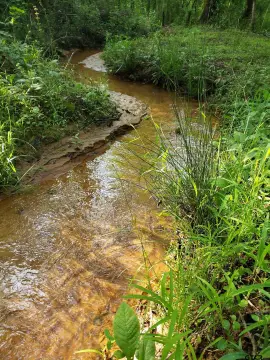 Raw Land Tract with Creek