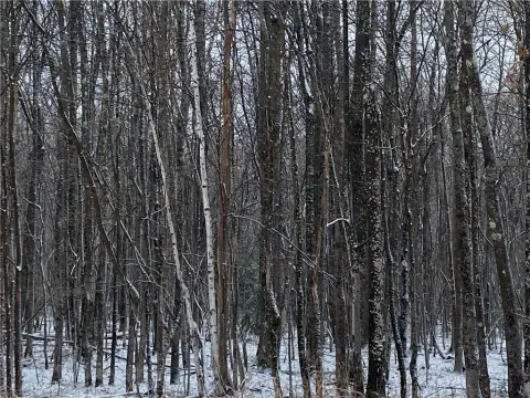 Herbster, WI Forestland Acreage