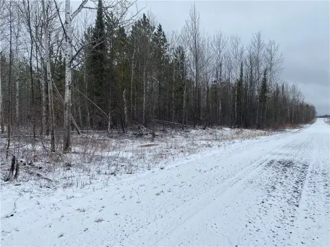 80 Acres of Forestland