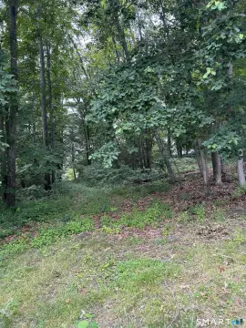 Buildable Residential Lot