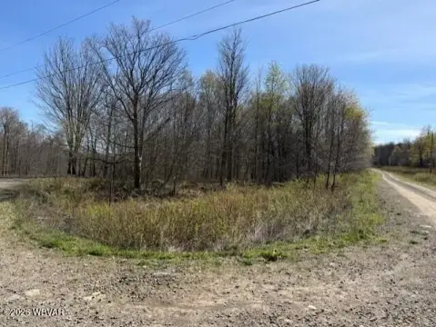 Secluded Wooded Lot in Shunk, PA