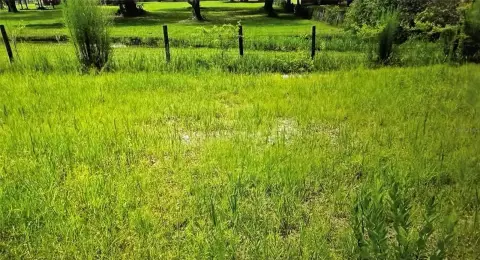 Fenced Agricultural Land