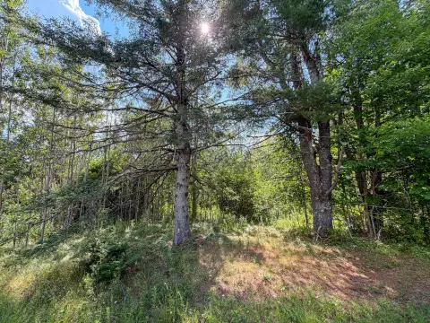 Improved Residential Land Lot