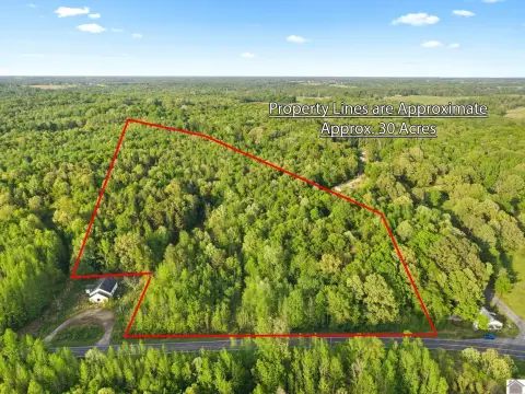 Unrestricted Wooded Land For Sale
