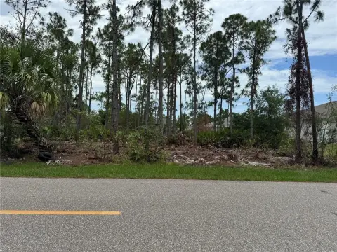 Residential Vacant Lot Opportunity