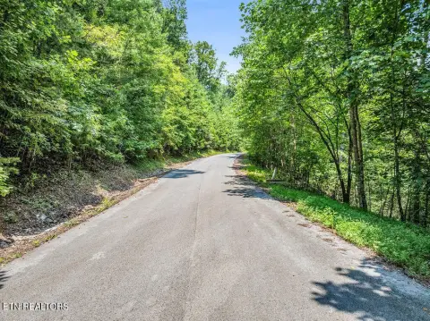 Wooded Residential Homesite