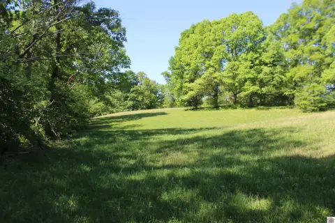 Grand Rivers Farm For Sale