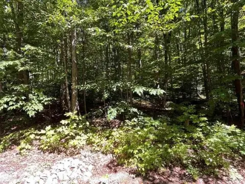 Wooded Lot Near Schuss Mountain