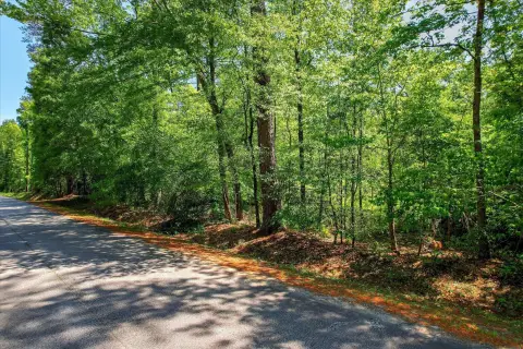 Harlem, GA Wooded Land