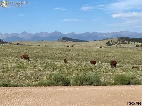Westcliffe Agricultural Land with Mountain Views