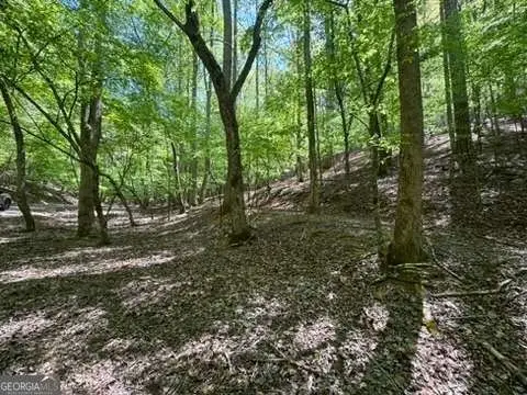 Wooded Lot in Coosawattee Resort