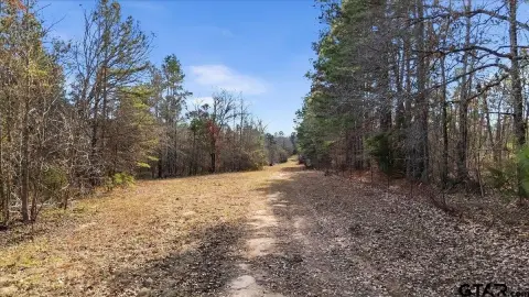 81 Acres Near Troup, TX