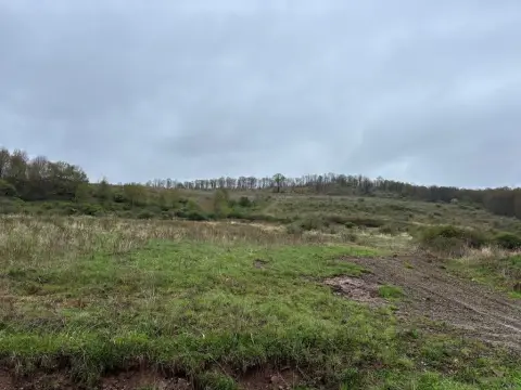54.4 Acres in Ceres Township