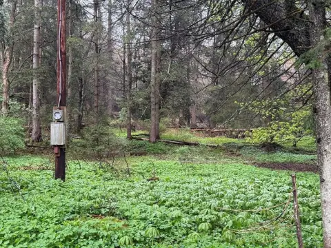Vacant Land with Stream Access